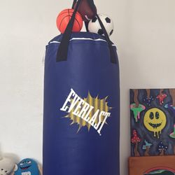 50 pound Everlast Boxing bag   With hanger and nails included (No Box)