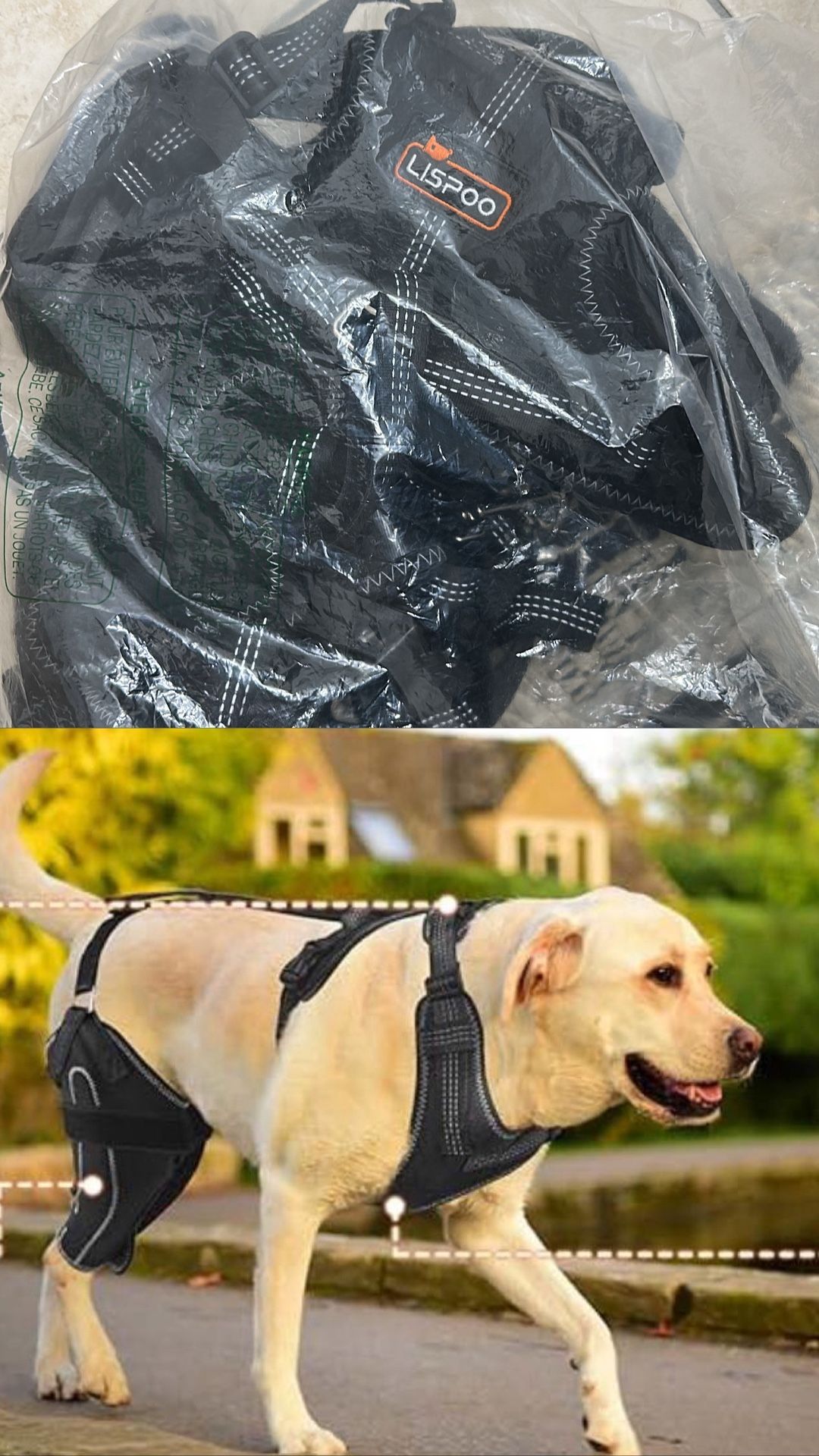 Rodillera para perro para rehabilitación de desgarro del ligamento cruzado anterior y rótula dislocada, soporte ajustable para piernas y suficiente tr