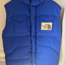 Gucci x The North Face Puffer Vest (L)