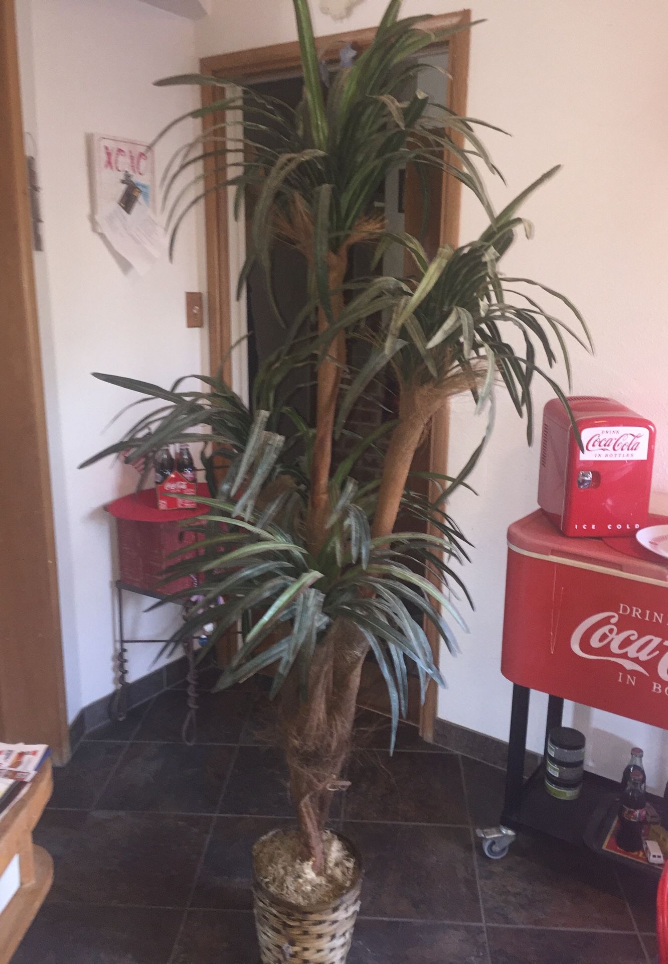 Approx )’ tall faux artificial reef palm plant good condition.