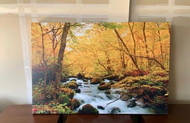 Very nice natural portrait!