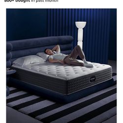 Brand New Queen Mattress