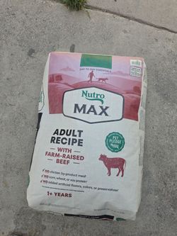 Dog Food