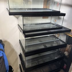 Reptile Aquarium S  Six Total 