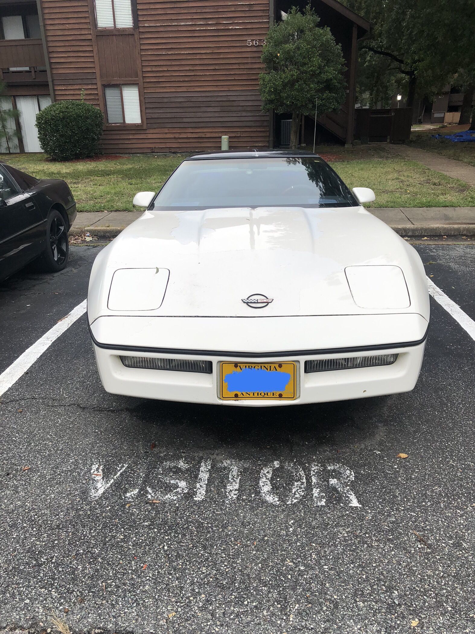 1984 Chevrolet Corvette