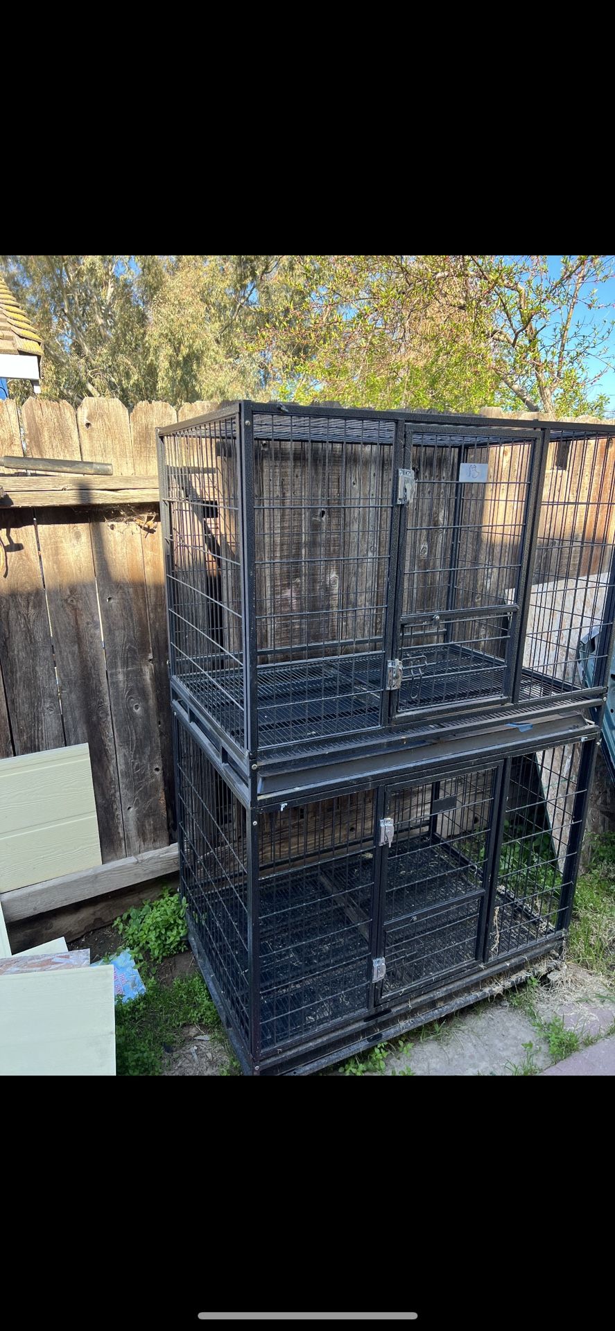 Dog Kennel