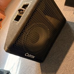 Carvin 1232 floor monitor