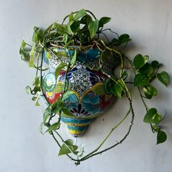 Authentic Mexican Wall Planter With Live Plant 