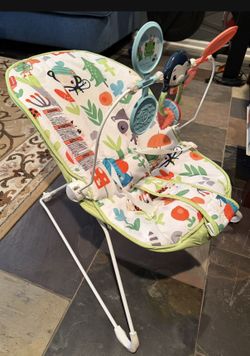 Baby Bouncer