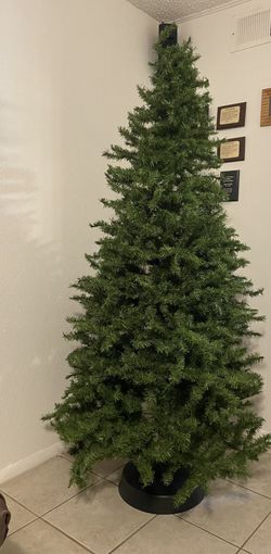 Mountain King Christmas Tree 