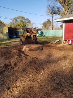 Stump Grinder Removal