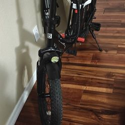 Adult E-bike 