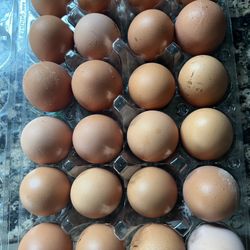 Organic Fresh Healthy Chicken Eggs 