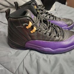 Field Purple Jordan 12 Size 8.5