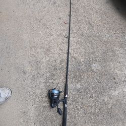 Ugly Stick Firm Pole With Penn Reel 