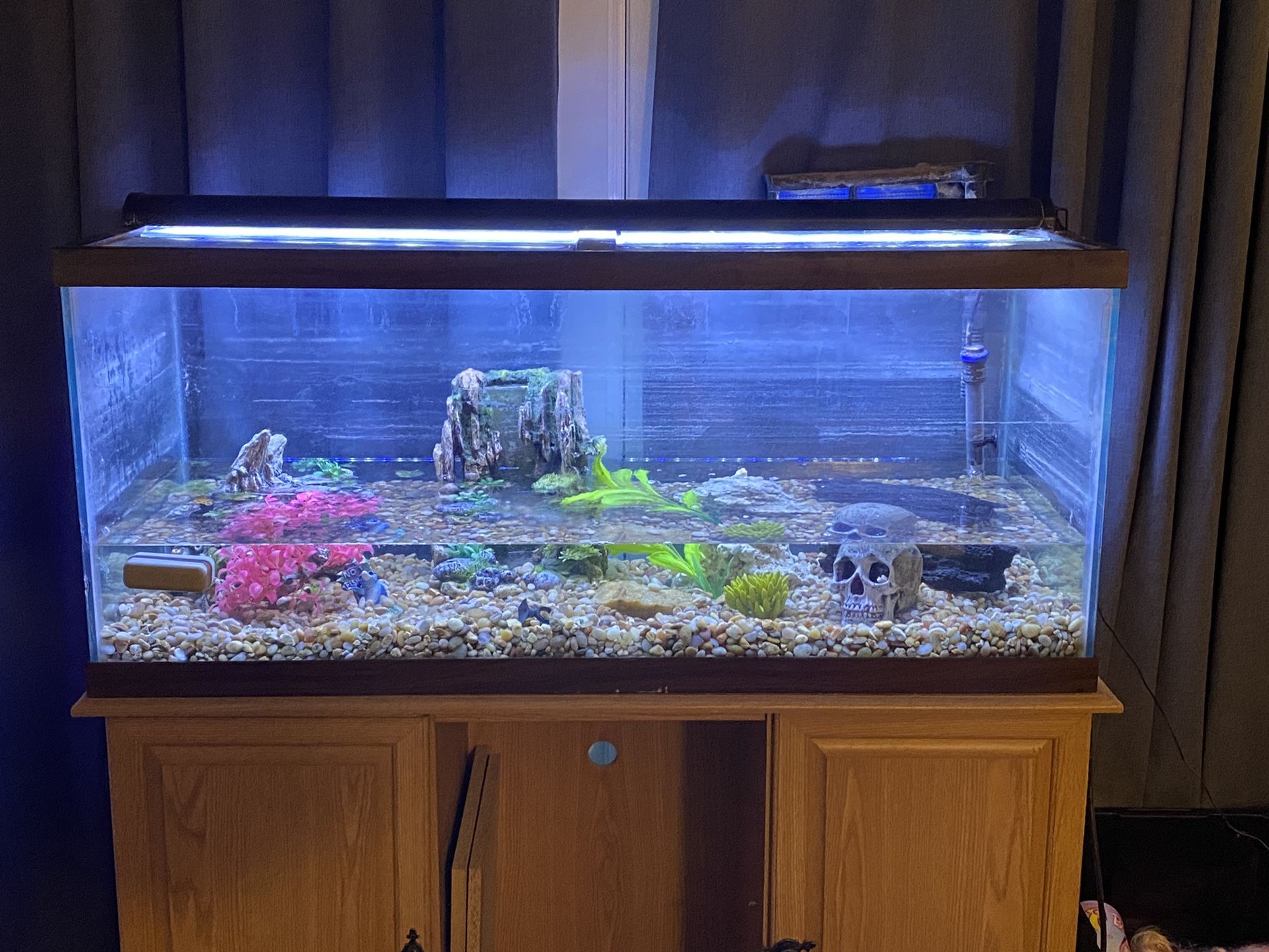 70g Fish Tank with Stand