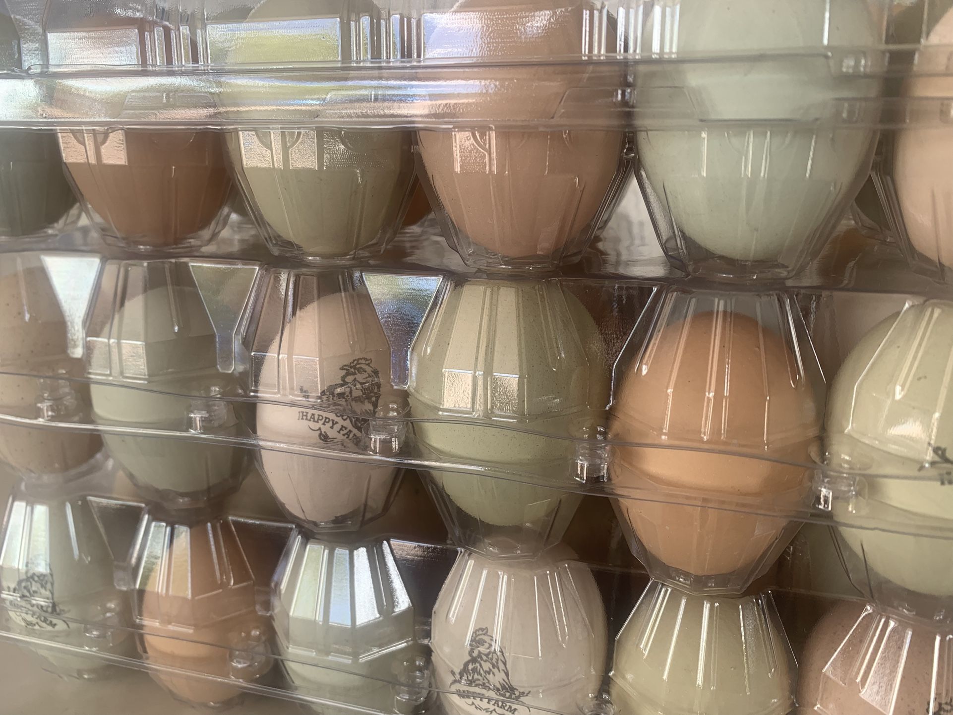 Organic Eggs No Hormones No Antibiotics