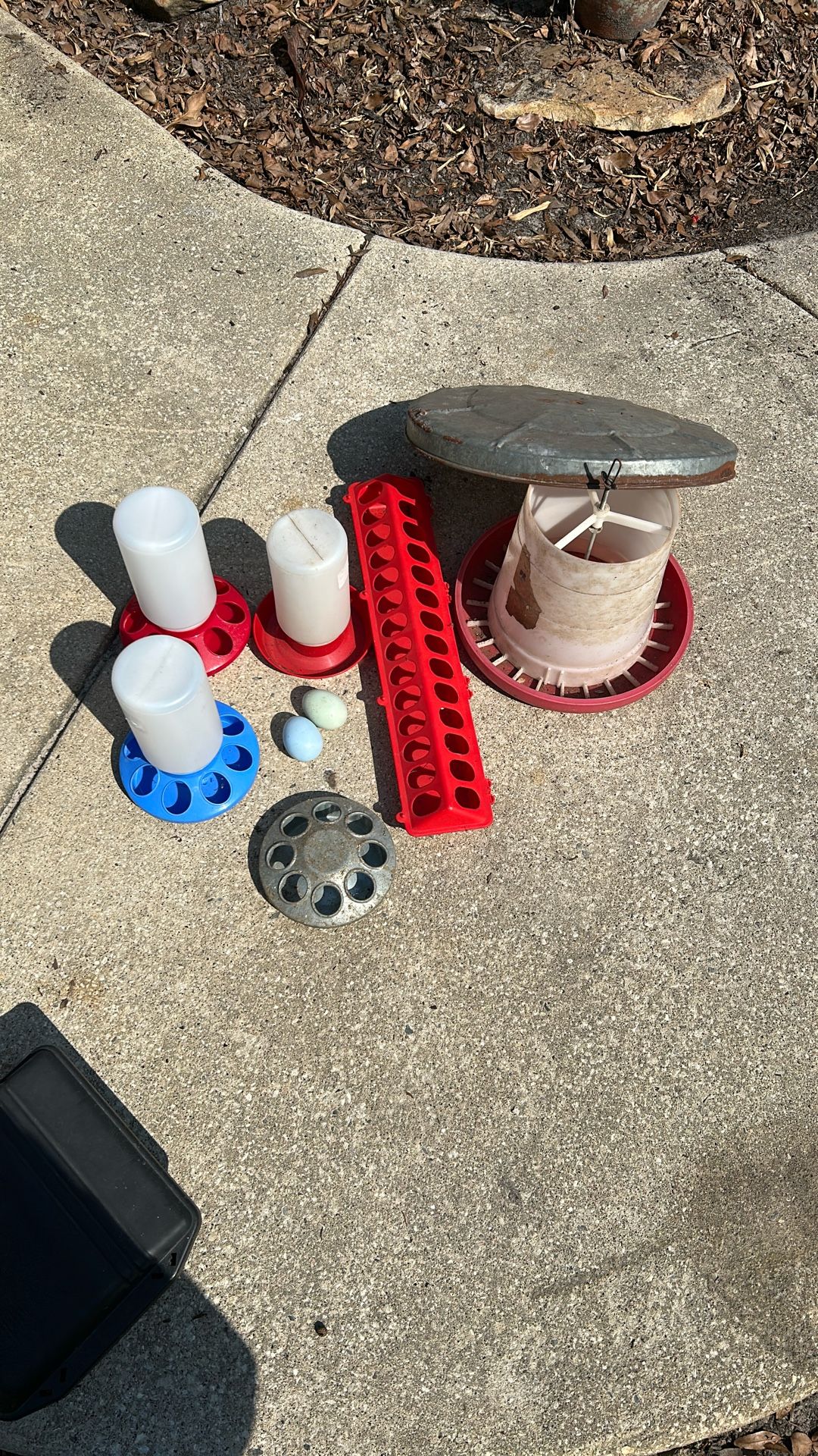 Chicken Starter Supplies
