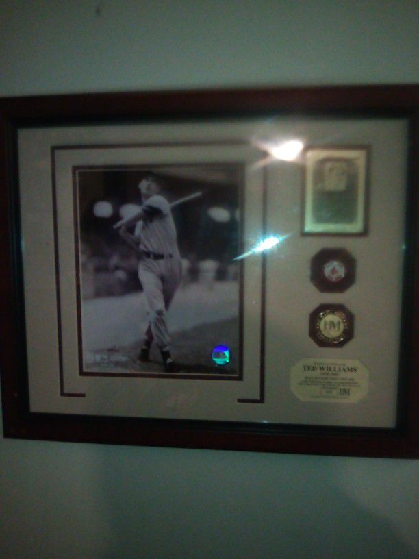 Ted Williams Signed Hall Of Fame Plaque