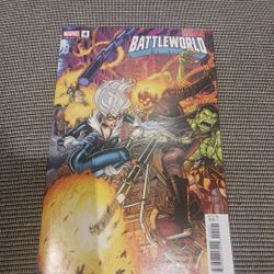 BATTLEWORLD #4 NICK BRADSHAW 5-PART CONNECTING VARIANT D Marvel Comic Book 2025