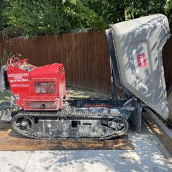 Concret Buggy Year  2021 