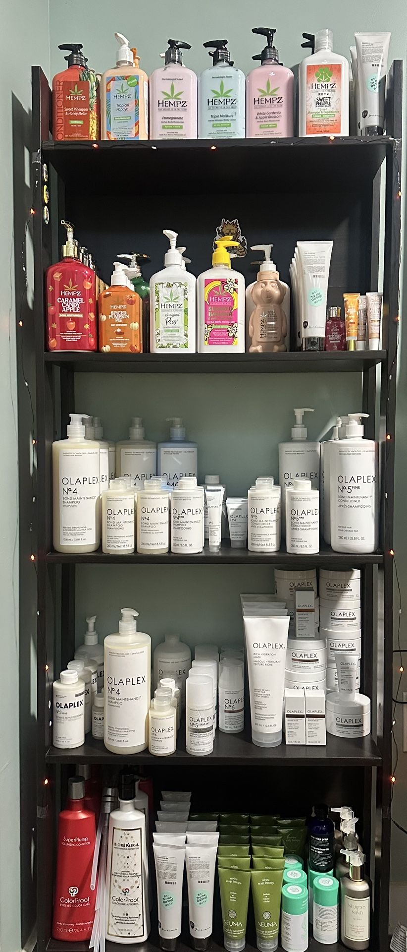 Olaplex And Hempz