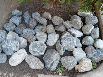 Large Multicolored River Rocks