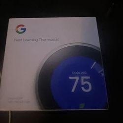 Google Nest 3rd Generation 