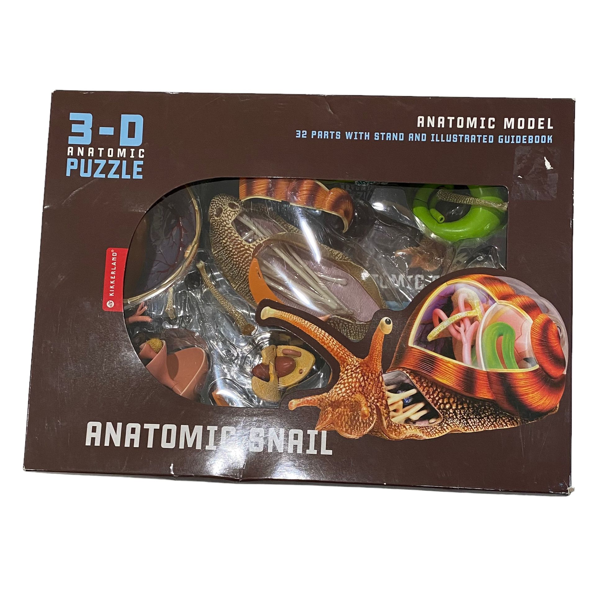 4D Master Vision Snail Educational Toy Puzzle Anatomic Stem 3-D
