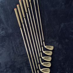 PREMIUM GOLF BAG SET (PING G425, VOKEY SM10, SPIDER TOUR, HOOFER BAG)