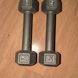5 lb Dumbbells