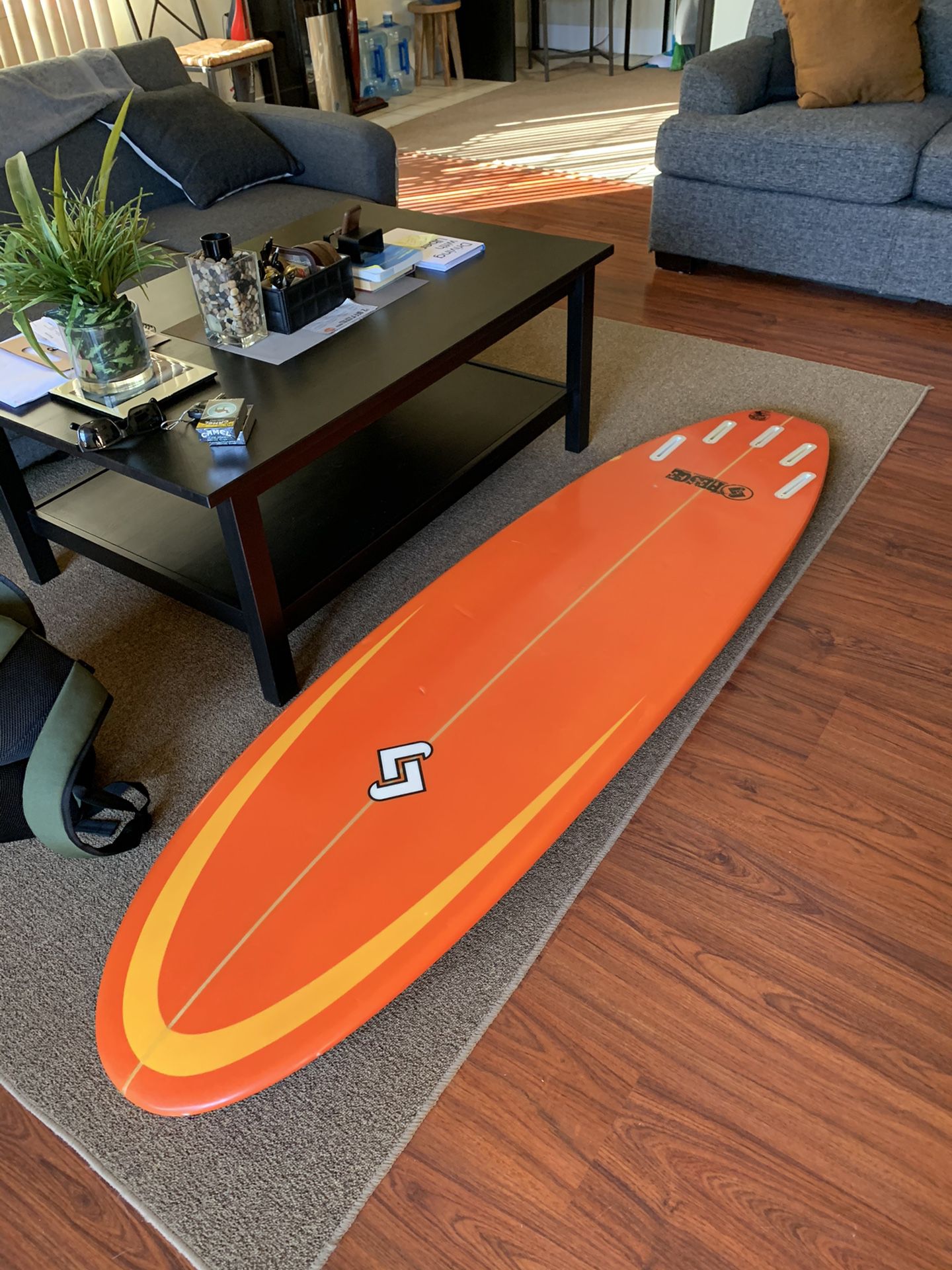 Pesce Surfboard