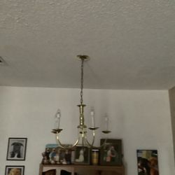 Dining Room Light Fixture