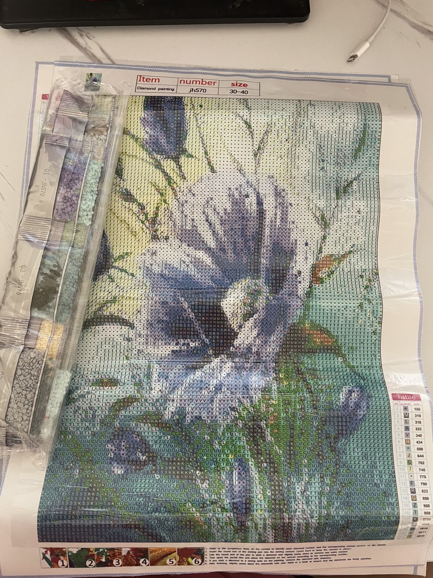 Diamond Painting Kits