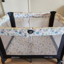 Graco Pack N Play