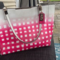 Large Coach Purse