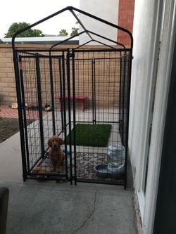 Kennel