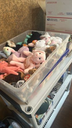 Beanie Babies
