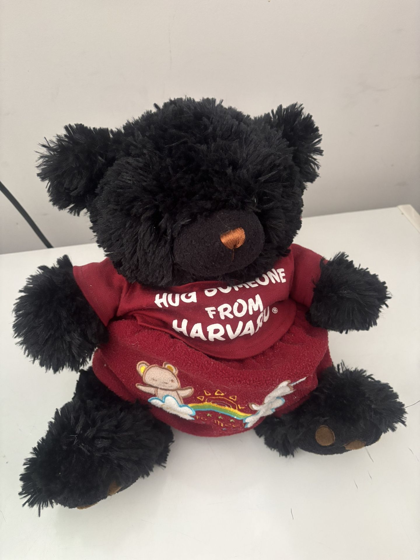 Stuffed Teddy Bear 🧸