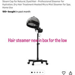 Hair Steamer And Dryer 
