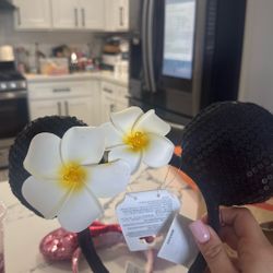 Disney ears