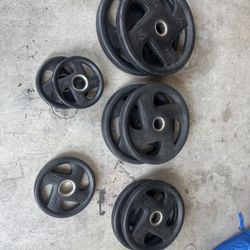 Rubber Enclosed Weights