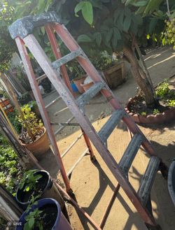 Ladder 6 feet $25