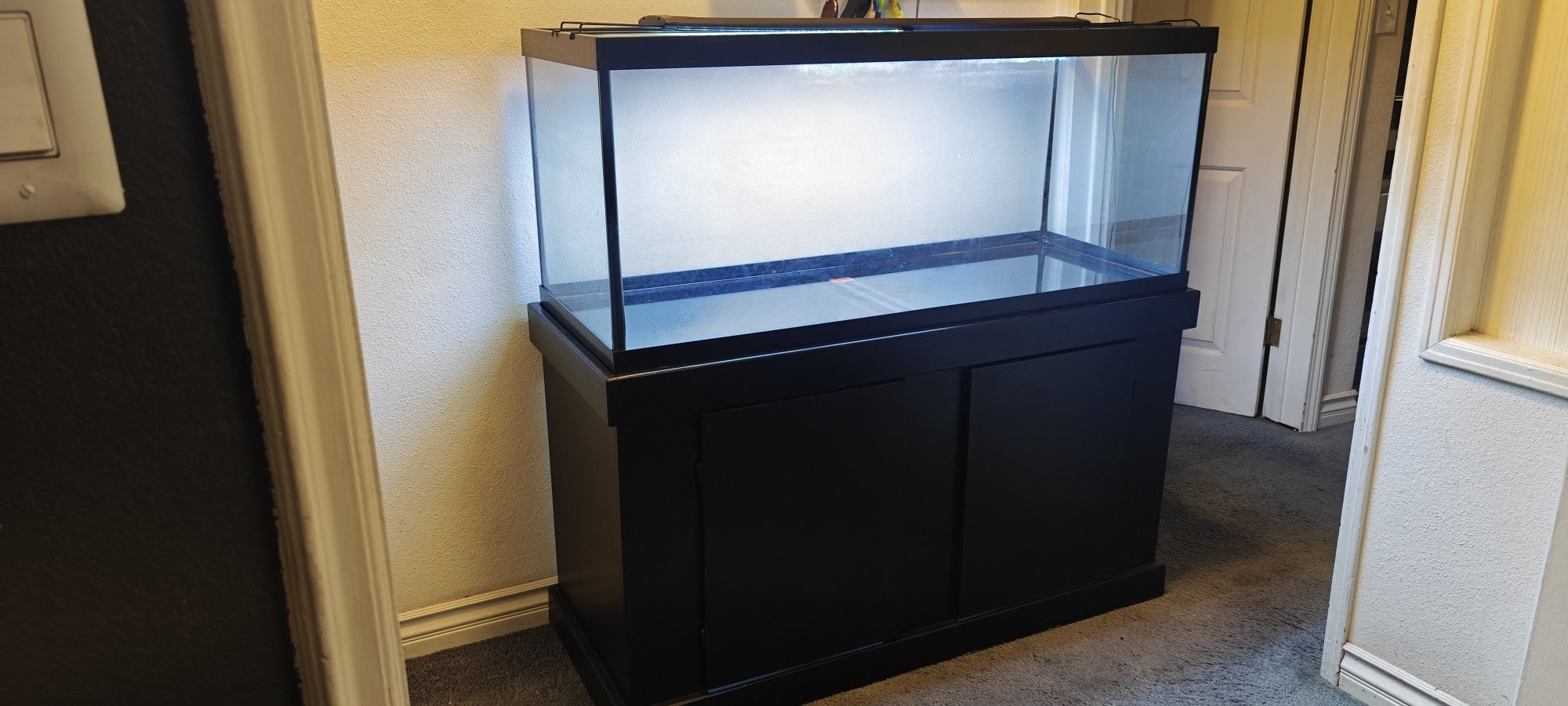 CLEAN 75 Gallon Fish Tank