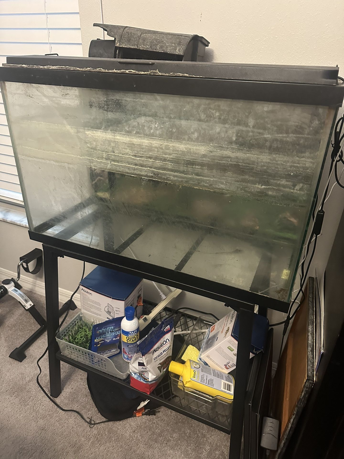 30 Gal Fish tank & stand