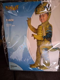 Dinosaur costume