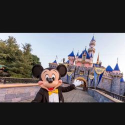 Disneyland Park hopper Tickets 