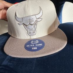 Chicago Bulls Snap Back
