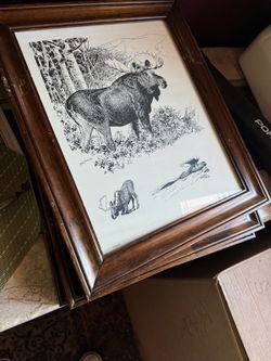 4 Framed Sketches Of Animals