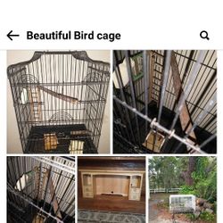 Black Vertical Bird Cage 